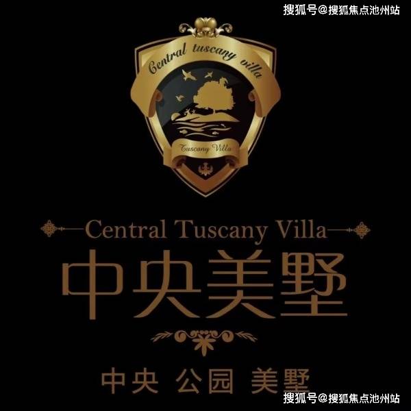 澳门和香港一码一肖一恃一中312期,精选解析、解释与落实