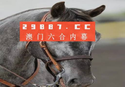 澳门和香港一肖一码一待一中四不像,精选解析、落实与策略
