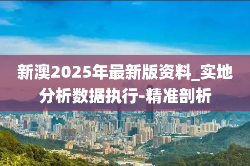 新澳2025精准正版免費資料，警惕虚假宣传，数据校验执行